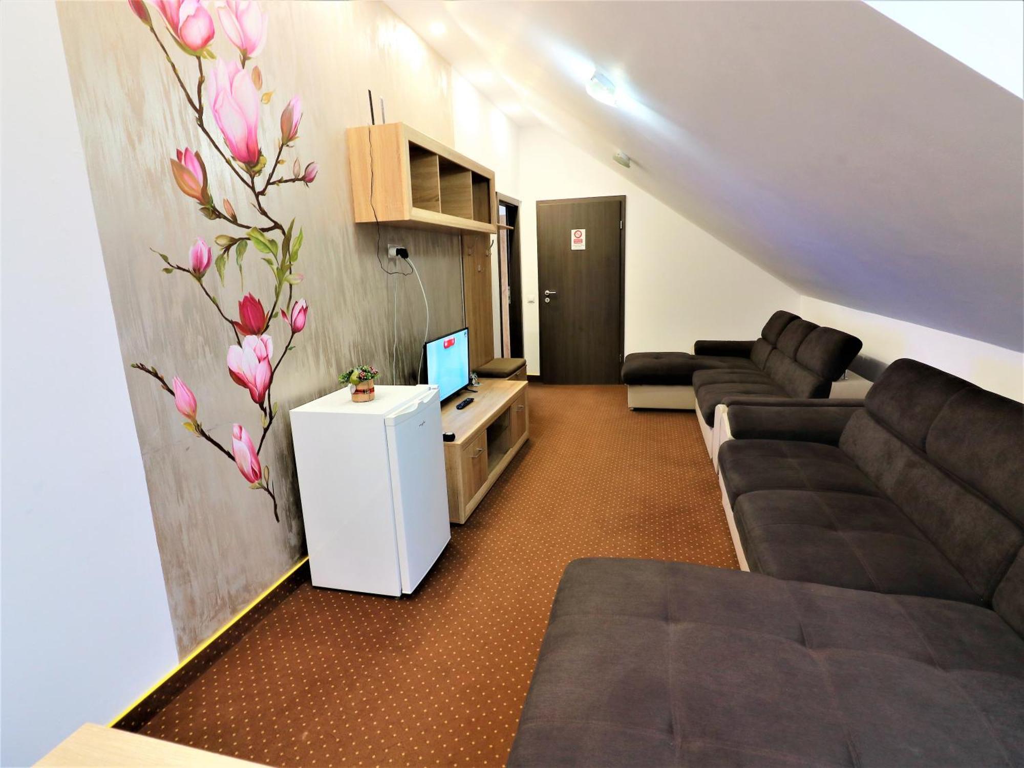 Flowers House 锡比乌 外观 照片