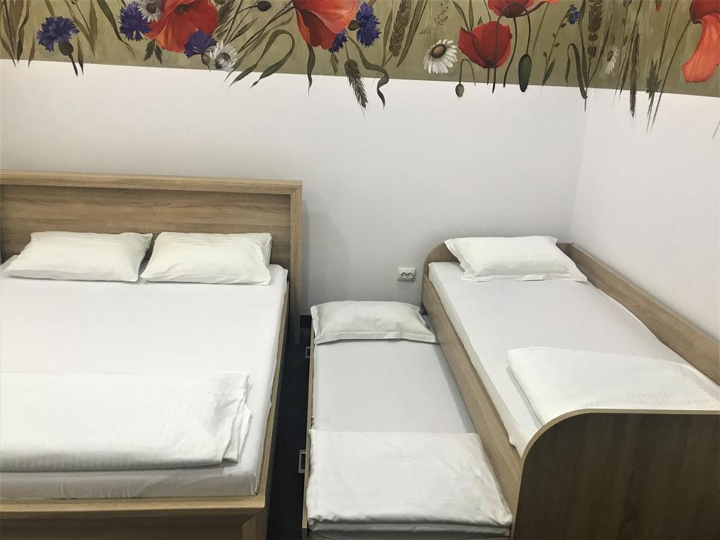 Flowers House 锡比乌 外观 照片