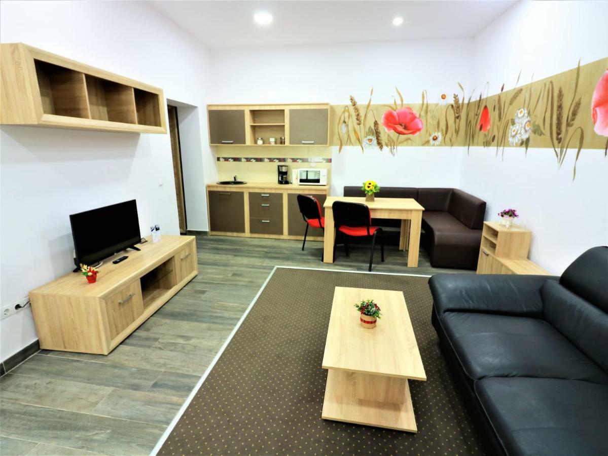 Flowers House 锡比乌 外观 照片