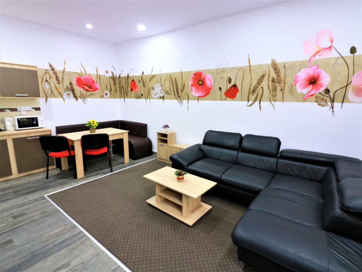Flowers House 锡比乌 外观 照片