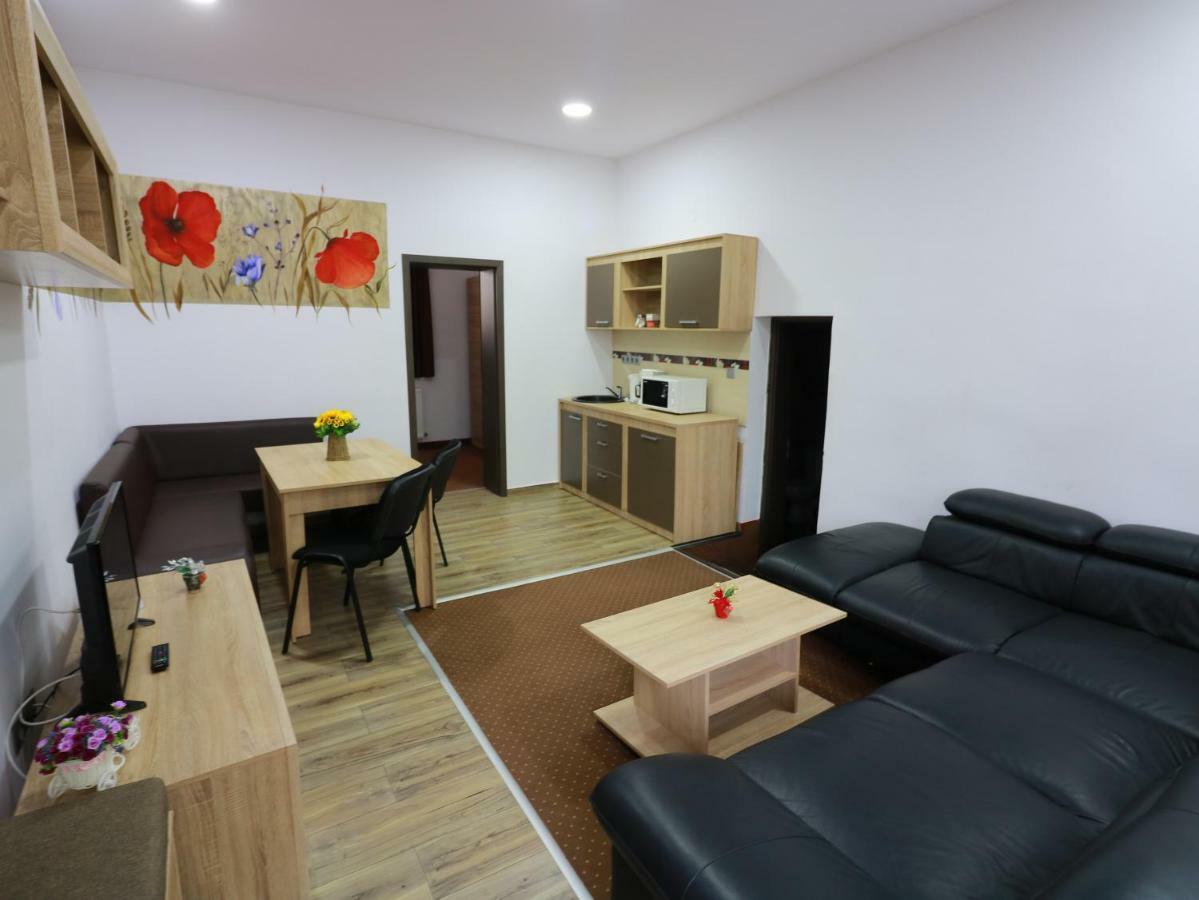 Flowers House 锡比乌 外观 照片