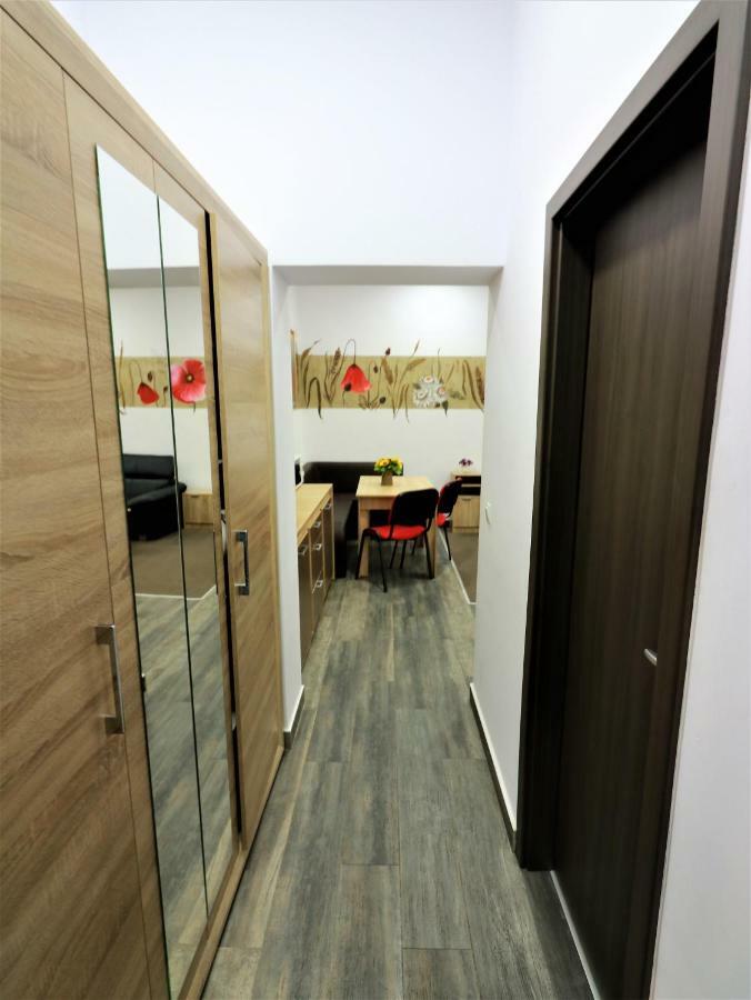 Flowers House 锡比乌 外观 照片